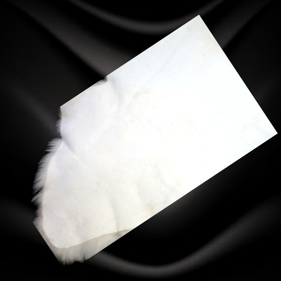 100% Genuine Sheepskin Rug By Shear Style Collection - Picture 8 of 10